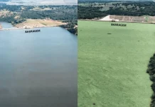MPMS obtém liminar para conter dispersão de macrófitas no Rio Pardo