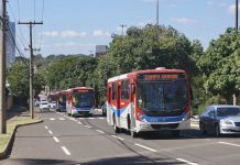 Linhas de ônibus terão horários diferenciados no feriado em Campo Grande