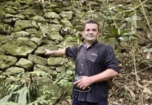 Dakila: entre as revelações arqueológicas e a economia digital