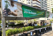 Capital celebra Semana da Árvore com a distribuição de 10 mil mudas