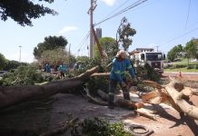 Força-tarefa da prefeitura continua após temporal em Campo Grande