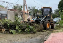 Força Tarefa de Atendimento Emergencial mobiliza mais de 35 equipes em Campo Grande