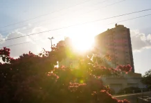 Com risco de altas temperaturas, Defesa Civil emite alerta vermelho