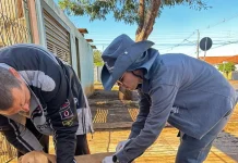Campo Grande terá vacinação contra a raiva neste fim de semana