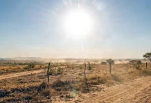 Calor volta com força e temperaturas podem chegar a 38°C em MS nesta quinta-feira