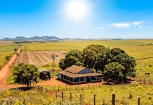 Quinta-feira terá predomínio de sol e calor de até 35°C em Mato Grosso do Sul