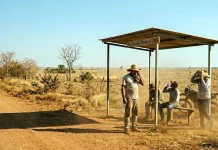 Segunda-feira terá calor de até 43°C e tempo seco em MS