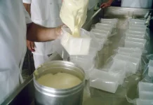 Semu oferece curso gratuito de requeijão de copo