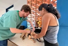 Atendimento veterinário gratuito chega ao Bairro Maria Aparecida Pedrossian