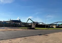 Expansão florestal amplia potencial econômico de Campo Grande